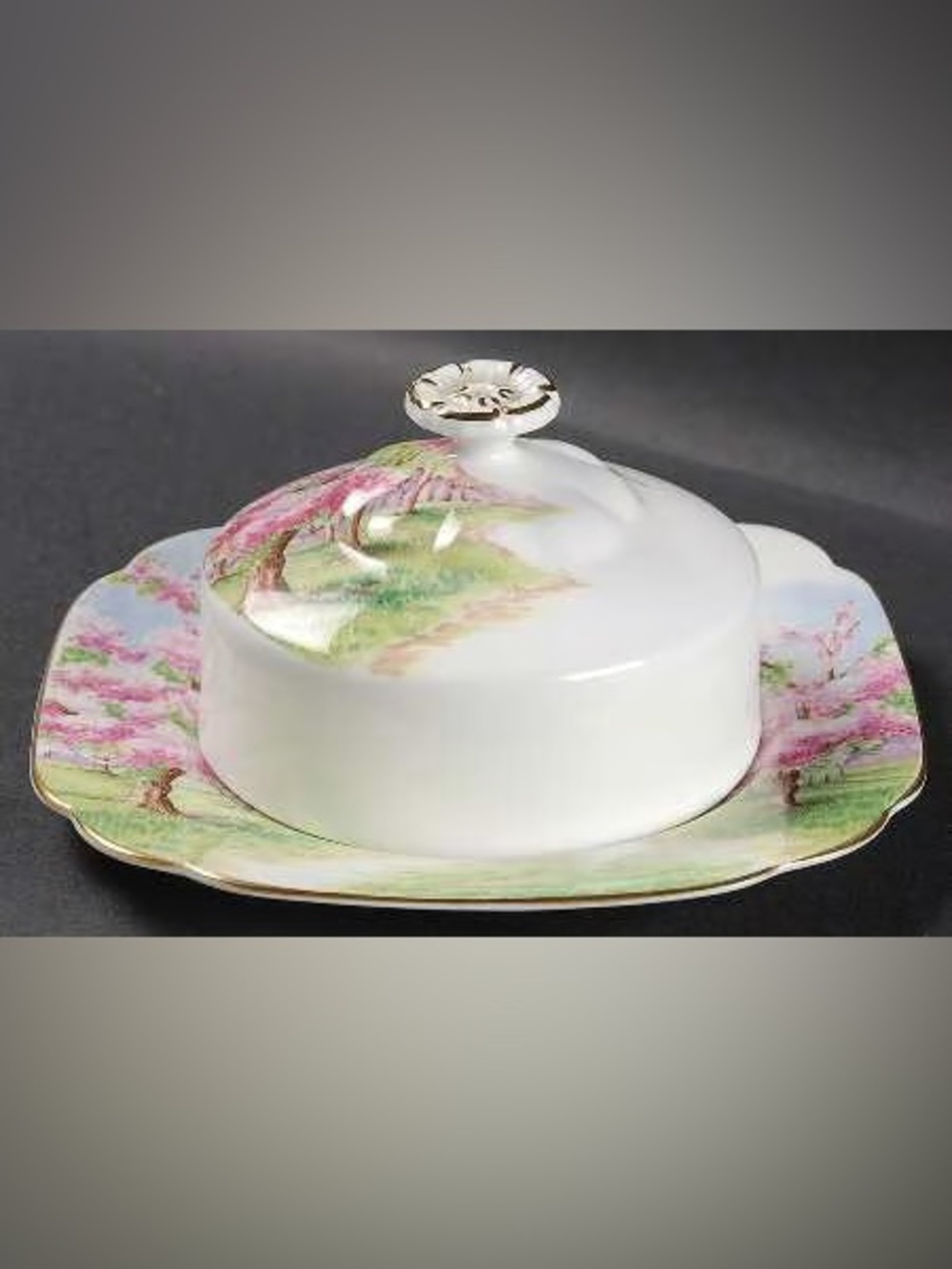 Vintage Royal Albert Blossom Time Covered Butter Dish